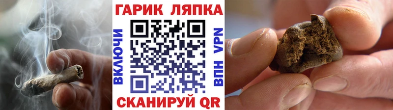 как найти   Скопин  ГАШ Изолятор 