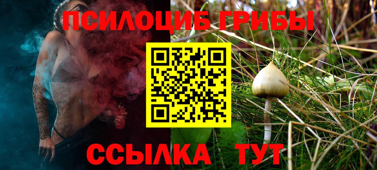 Галлюциногенные грибы Psilocybe Скопин