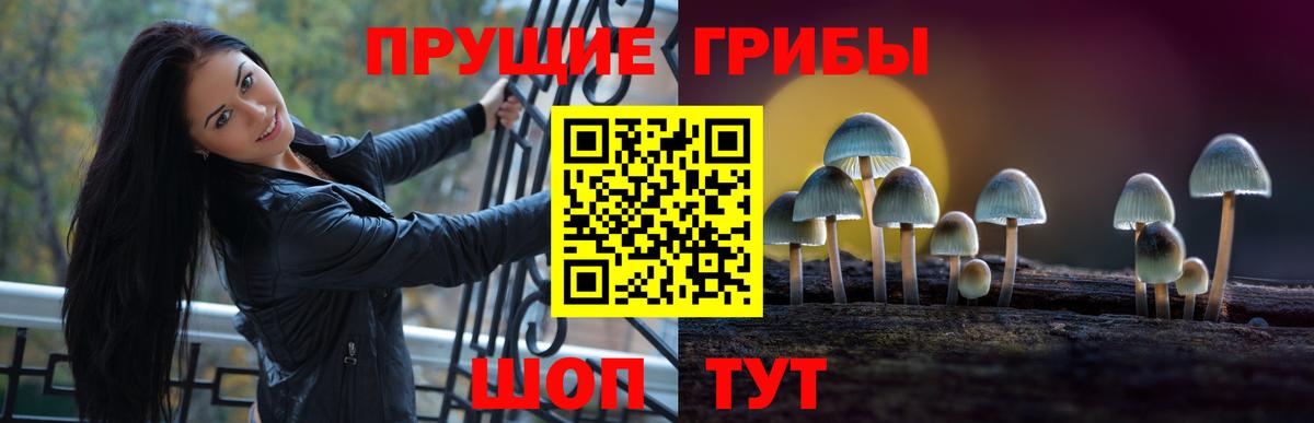 Скопин  Галлюциногенные грибы MAGIC MUSHROOMS  Вход с VPN  Галлюциногенные грибы ЛСД 